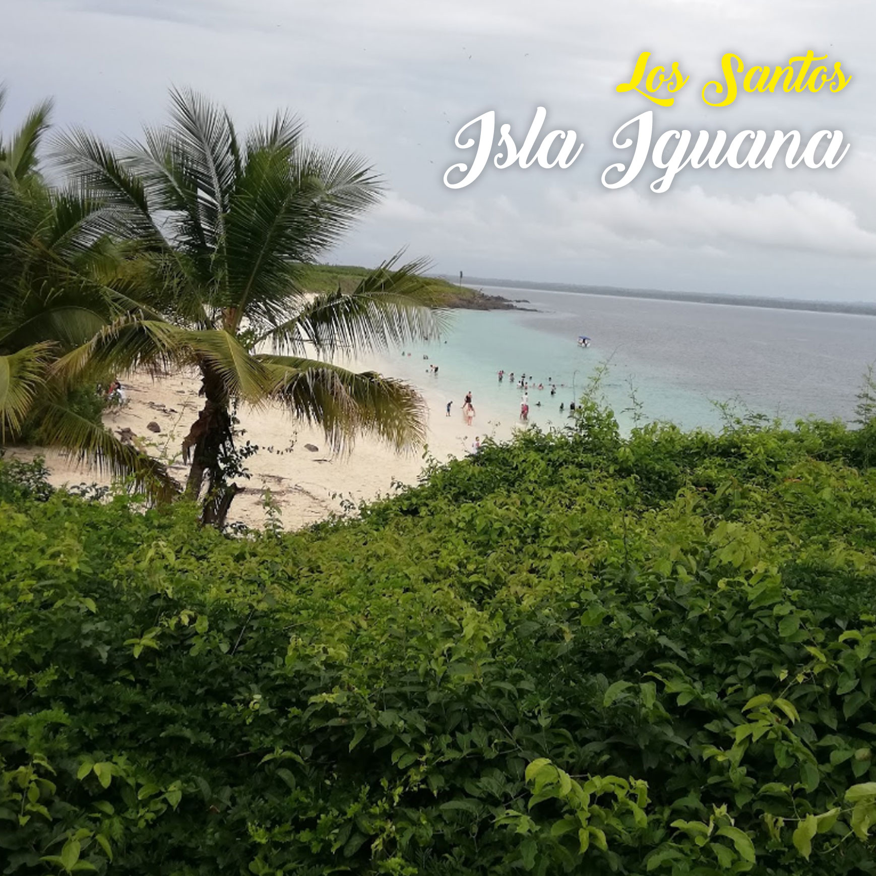 isla-iguana