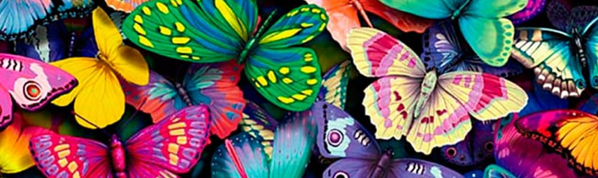 mariposario-cerro-la-vieja