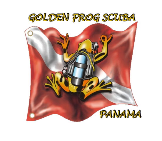 golden-frog-scuba